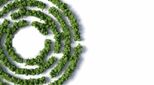 ESG-image-trees-circle
